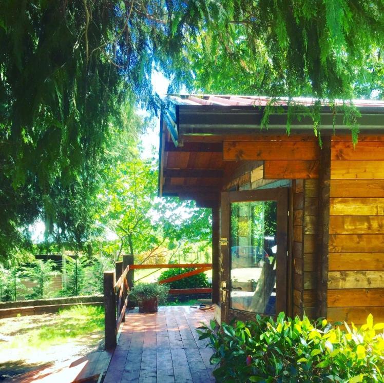 Bilocale In The Farm- Malpensa-Lago Maggiore Varallo Pombia Eksteriør billede